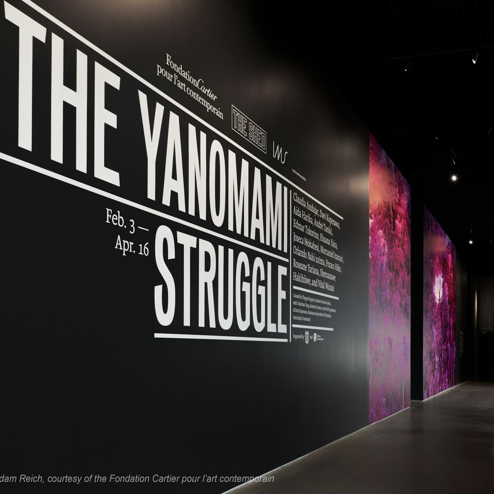 Cartier Art Install — The Yanomami Struggle