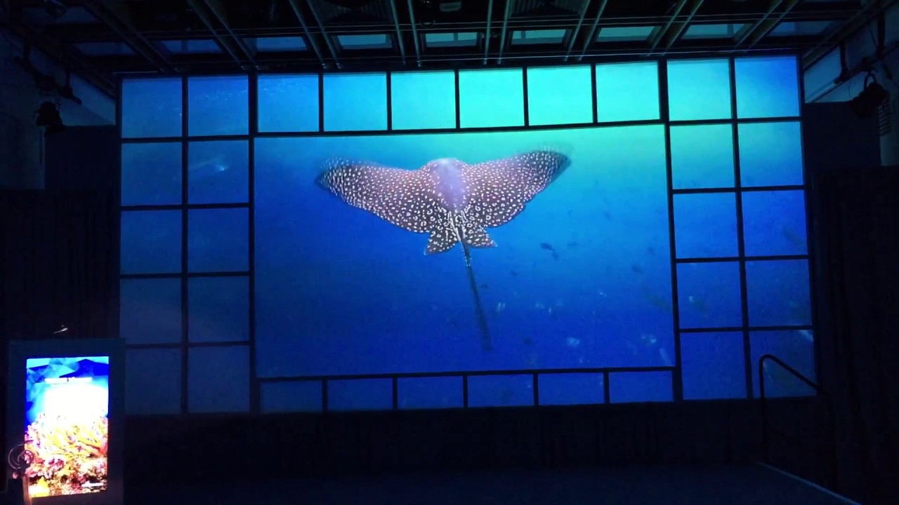 XPRIZE Ocean Health