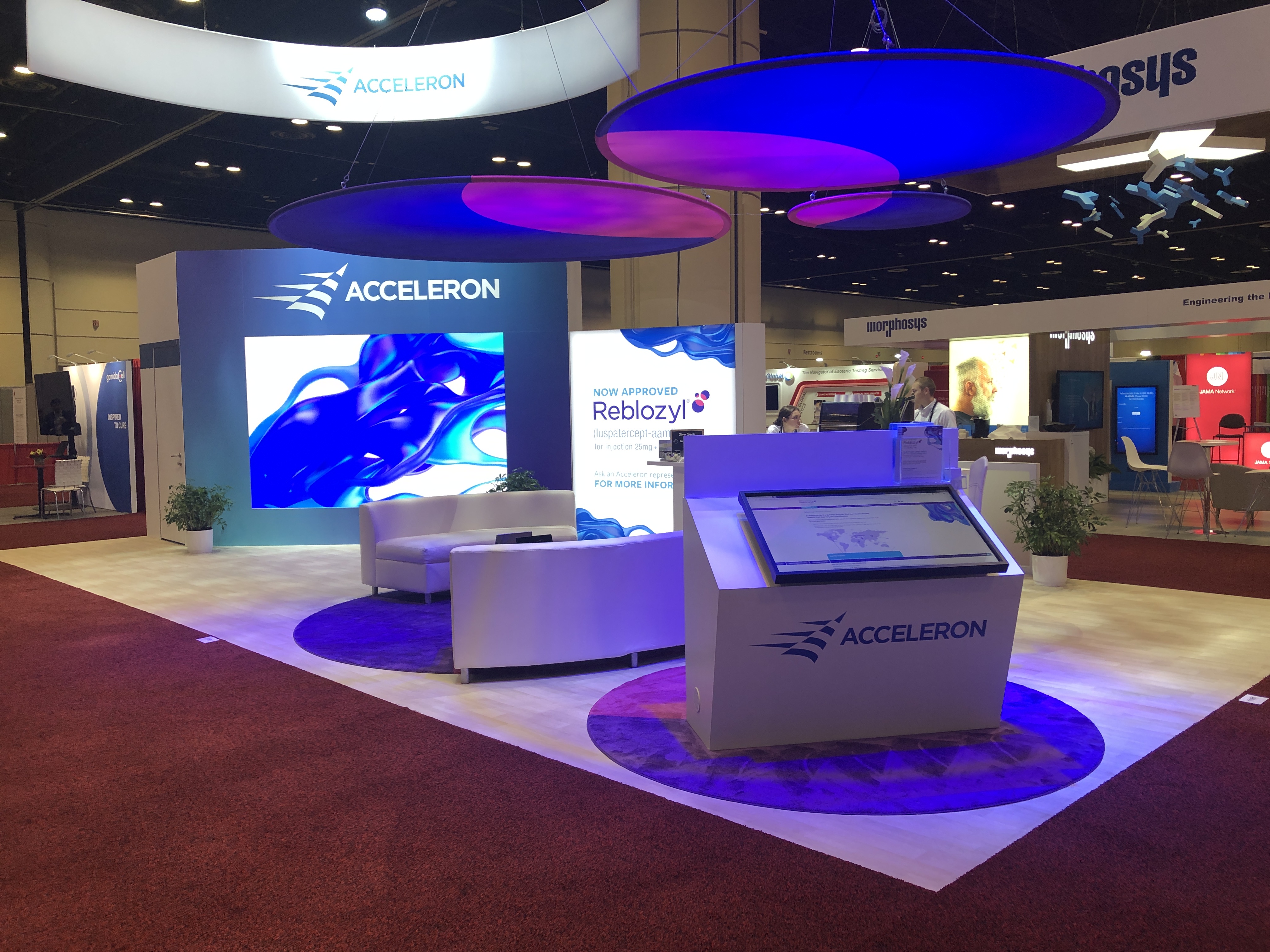 Acceleron at ASH