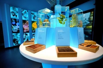 Bombay Sapphire Distillery | Botanical Room Upgrade