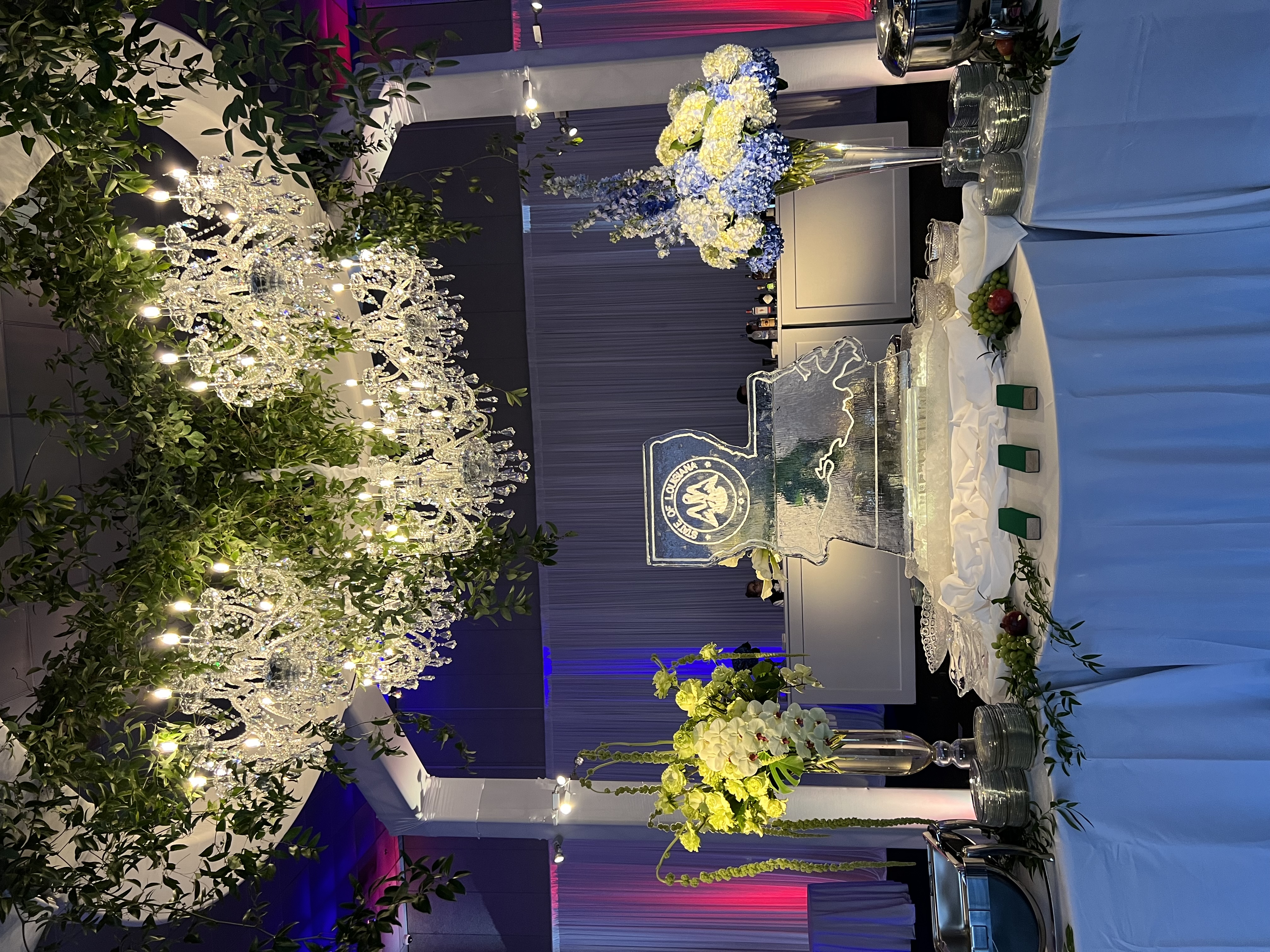 Governor Party