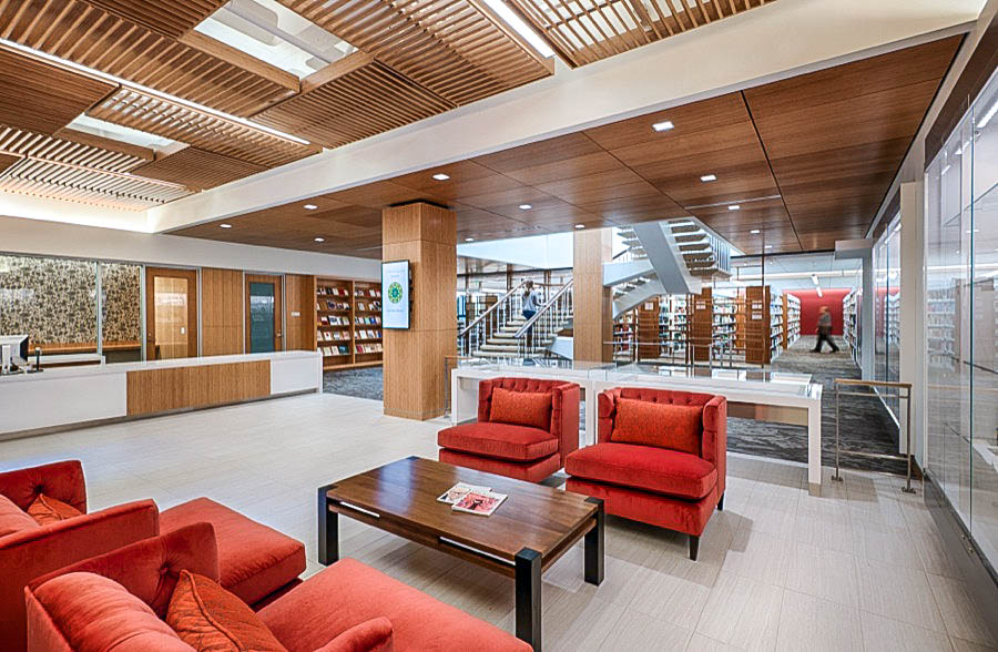 Stanford University — Bioengineering & Chemical Engineering